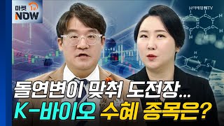 폐암치료제 | 보로노이, HK이노엔 | Market Now (20240923)