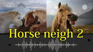 602. Horse neigh - sound effect