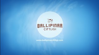 BALLIPINAR ÇİFTLİĞİ TANITIM FİLMİ