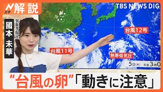 台風が続々と発生、予報士「台風11号と熱帯低気圧の間にある雲が、非常に怪しい動きをしそう」【Nスタ解説】｜TBS NEWS DIG