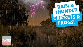 [DEEP SLEEP] Rain and Thunder + Frogs Crickets and Owls Sounds (Black Screen - 8 Hrs) Swamp Ambience