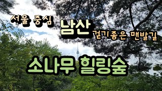 서울남산 맨발걷기 좋은숲길, 남산 소나무힐링숲길, 최근에 개방했어요.