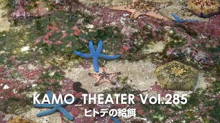 【鴨川シーワールド 】KAMO_THEATER　Vol.285