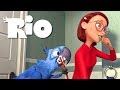 Blue and Linda's morning - RIO (1080p)