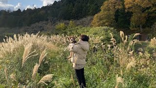 てっちと文鳥のおやつを取りに行ったよ！