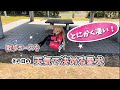 自分の散歩コースを天気で決める愛犬ホット君@hotto510