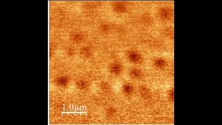 Nano/Micro Refractive Index Profiling Correlated With Structural Chemical Alterations