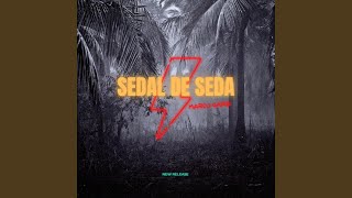 Sedal de seda