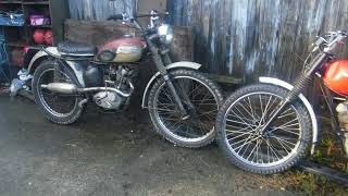 Triumph Tiger Cubs, Trials and Scrambles replicas discussed and compared.