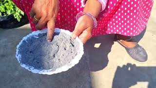 Benefits of ash for trees | पेड़ों के लिए राख के फायदे