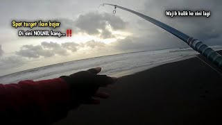 Spot rekomendasi untuk mancing ikan bojor || Mancing Pasiran