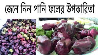 জেনে নিন পানি ফলের উপকারিতা | Know the Benefits of Water Fruit