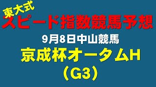 【京成杯オータムＨ２０２４】東大式スピード指数による競馬予想