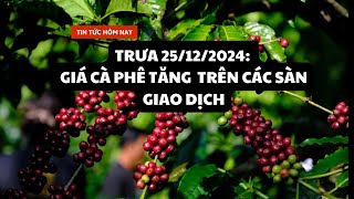 Giá cà phê trưa 25/12/2024: Giá cà phê tăng  trên các sàn giao dịch.