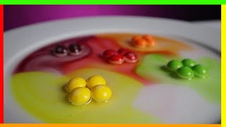 The Melting Skittles | Science Experiments at Home | Virtual Science Experiment