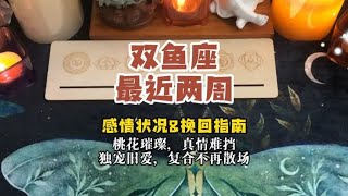 双鱼座 最近两周感情状况\u0026挽回指南：桃花璀璨，真情难挡