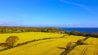 Solo Hiking 45km along the coast in Österlen, Sweden