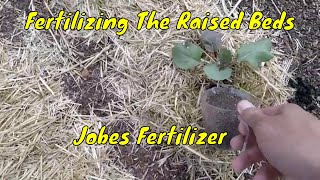 Fertilizing The Raised Bed Gardens | Jobes Fertilizer