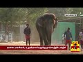 தமிழக யானை பாகன்களுக்கு தாய்லாந்தில் பயிற்சி elephant sanctuary thailand