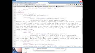 HTML & CSS - Lab 02 - HTML Structure
