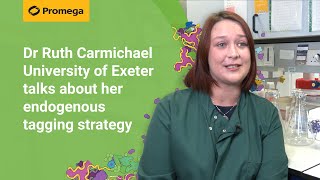 Dr Ruth Carmichael, University of Exeter talks about her endogenous tagging strategy