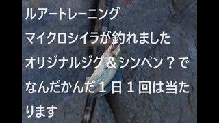 夕方１時間のルアートレーニング　もう何日目かわからなくなりました。