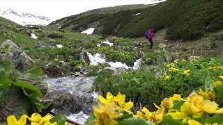 Svaneti-Gürcistan (Kafkas dağları)