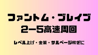 【ファントム・ブレイブ】2－5高速周回【稼ぎ】