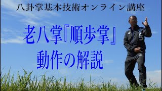 老八掌「順歩掌」動作解説：八卦掌基本技術オンライン講座