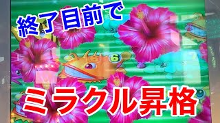 【メダルゲーム】ミラクル昇格！ハマリ気味の確変中に起こった奇跡 海物語in沖縄ウキウキバケーション