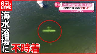 【アメリカ】海水浴場に小型飛行機  水面すれすれを飛び“不時着”