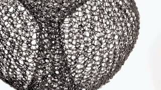 Ruth Asawa: Objects & Apparitions