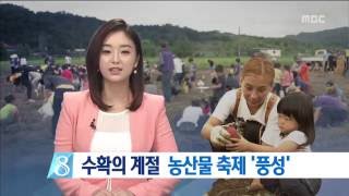 충주MBC 160903 수확 앞두고 풍성한 가을축제