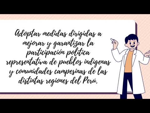 ANALISIS DE LAS CONCLUSIONES INFORME SITUACION DE LOS DERECHOS HUMANOS ...