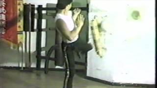 Wing Chun Iron Shin Training - RARE Footage