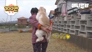 개손자 어부바해주는 92세 할머니 (왜 없겠어요 반전있음) l 92-Year-Old Grandma Gives Her Dog Piggyback Rides *Plot Twist*