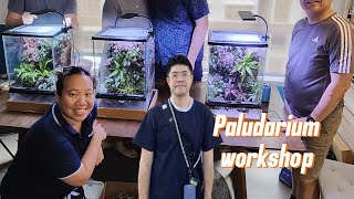 Highlight from Paludarium Workshop by AquaPlant Culture 28 Dec 2024