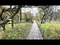 【4k hdr】日光 戦場ヶ原 紅葉ツアー nikko senjogahara walking tour