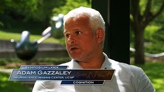 79th Symposium - Cognition - Gazzaley