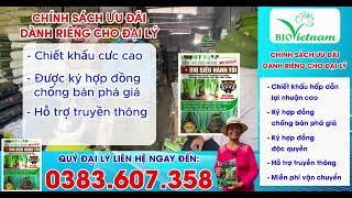 Phân bón Bio sieu hành tỏi sản phẩm phân bón hữu cơ tốt nhất cho hành tỏi