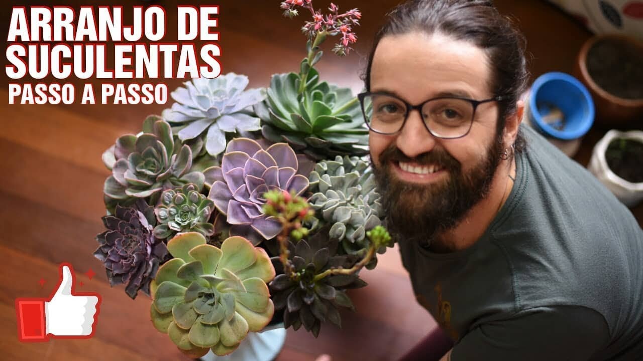 DIY Bacia De SUCULENTAS - Aprenda Como Montar E Plantar Passo A Passo ...