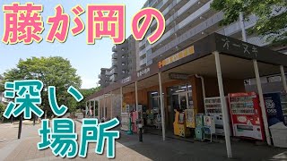 藤が岡の水道道沿いと公営住宅の辺り、滝川分水路の滝川分派点と境川合流点の風景　藤沢市藤が岡、柄沢、大鋸　2021年4月下旬撮影