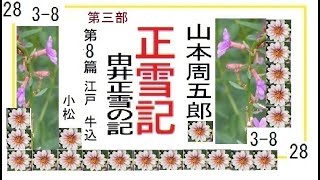 「正雪記,」その28,第３部,第8,　江戸,　牛込，作,山本周五郎※【解説,朗読,】,by,D.J.イグサ,＠,イオギ,・井荻新,