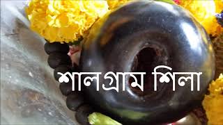 শালগ্রাম শিলা - SALGRAM SILA -  SASANKA SEKHAR PEACE FOUNDATION