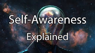 Self Awareness Explained - Beyond the 5th Level (Scientific/Psychology)