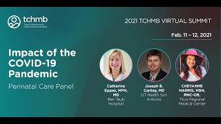 Impact of the COVID-19 Pandemic Panel - TCHMB Summit 2021