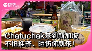 8视界娱乐生活志 | Chatuchak来到新加坡不怕推挤、晒伤你就来！