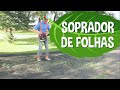 conhecendo um cortador de grama vídeos educativos para crianças as aventuras de blippi