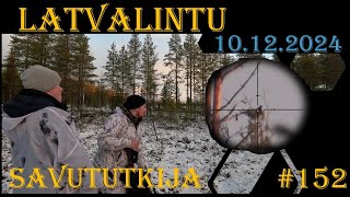 Latvalintu - viimeinen jahtipäivä 2024 - Grouse hunting in Finland