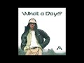 Ivan Ave - What a Day (Prod. Mndsgn)